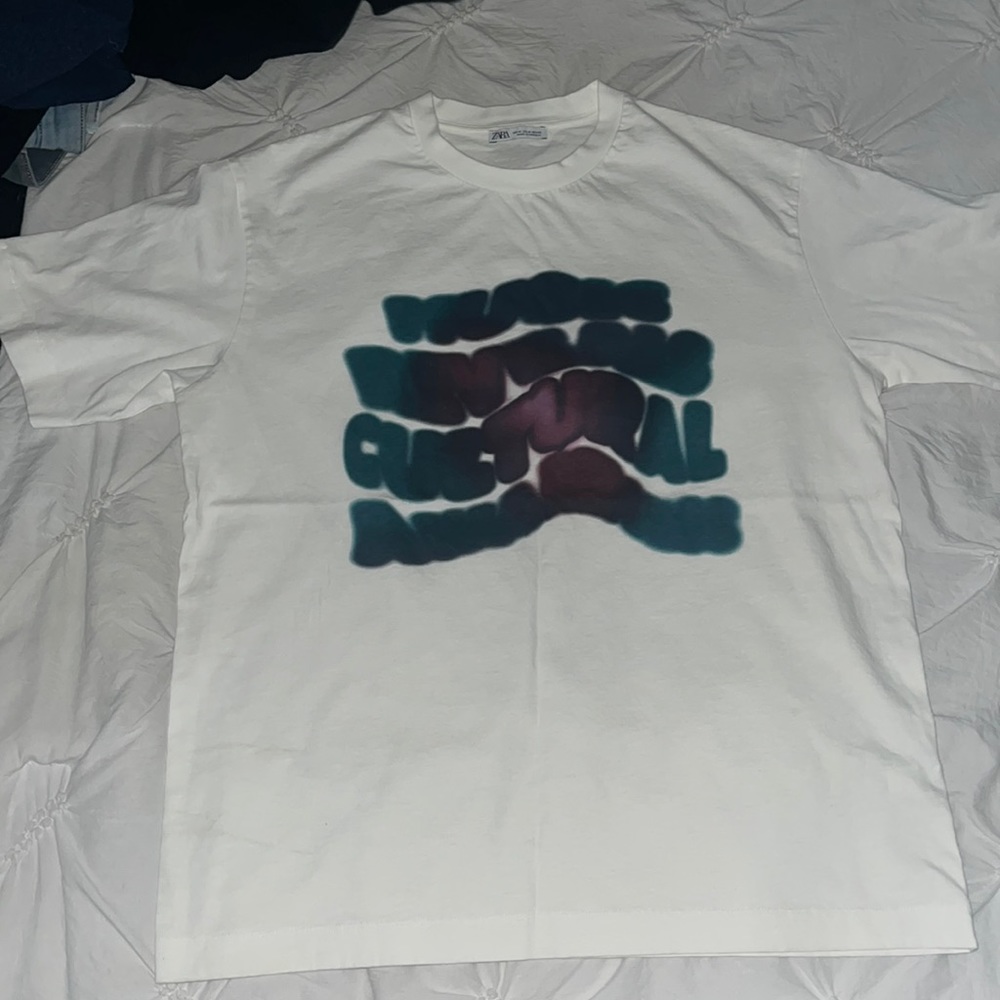 Men’s Zara t shirt
